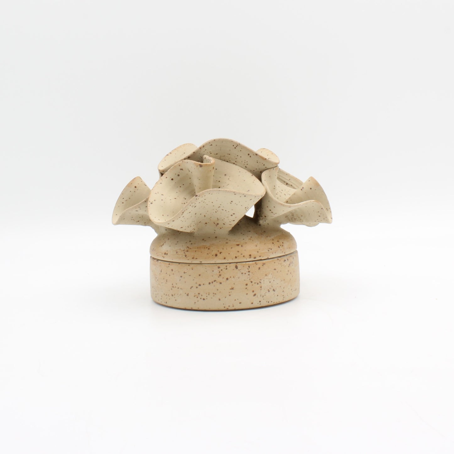 Burk nr. 6